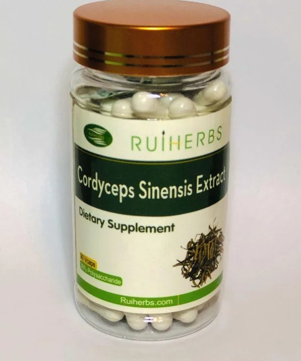 Кордіцепс Тяніше, фото 1