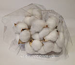 Гілка бавовни 10 шт в уп, фото 7