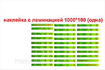 Декоративна наклейка на сходинки "Англійська мова"