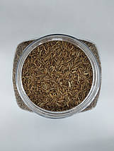 Кмин, 250г, фото 5