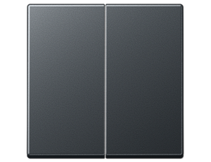 Клавіша 2-кл., JUNG ECO PROFI Антрацит