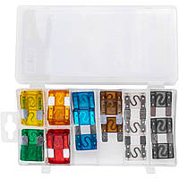 Набір запобіжників MAXI Richmann 20-100A 24 шт (C0448)