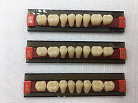 Зуби 3-хслойні жувальні нижні S30L, 8 шт.