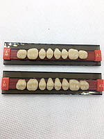Зуби 3-хслойні жувальні верхні S30U, 8 шт.