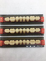 Зуби 3-хслойні жувальні нижні М32L, 8 шт.