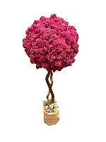 Дерево з стабілізованого моху рожеве у дерев'яному горщику SO Green 55см, діаметр 25 см