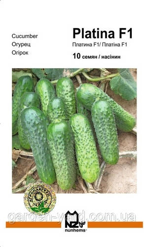 Насіння огірок Платіна F1 10шт. Nunhems Голландія