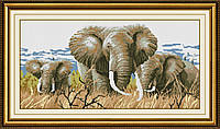 Алмазна мозаїка "Слони" Dream Art в коробці 30166