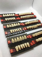 Зуби 3-хслойні повний набір T2 L37 S30, 28шт. А2