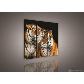 Модульна картина на полотні 3x30x80 см Два тигра (PS131S6)