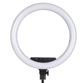 Кільцеві лампи