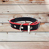 Повідець з шлейкой для собак міцний до 30 кг 1.5 м Розмір L Шлейка з повідцем і нашийником 3в1, фото 8