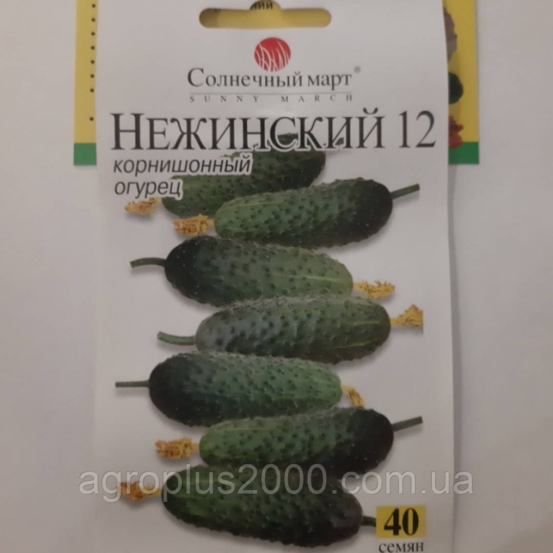 Насіння Огірок бджолозапильний Ніжинський 12, 40 насінин Сонячний Март