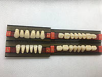 Зуби 3-хслойні повний набір T5 L25 S30, 28шт. А2