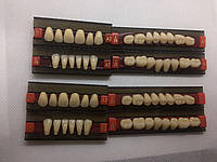 Зуби 3-хслойні повний набір S1 L25 S28, 28шт.