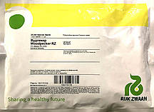 Насіння Шпинат Вудпекер F1 25000 шт. Rijk Zwaan 121856