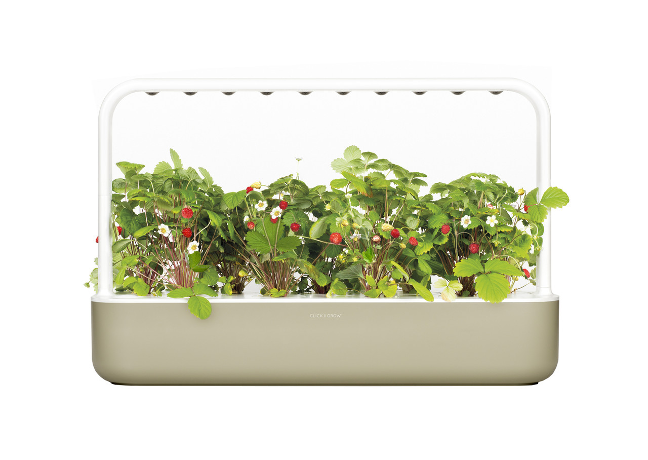Розумний сад Smart Garden 9 бежевий від Click&Grow