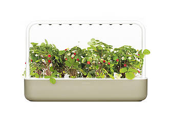 Розумний сад Smart Garden 9 бежевий від Click&Grow