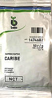 Насіння коріандру сорт салатного Кариби 50 г, Bejo Zaden