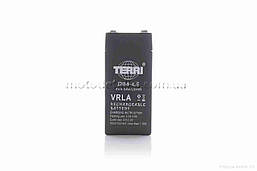 АКБ  4V 4.5A  AGM  47-47-100mm  DB4-4.5  "TERRI"