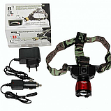 Світлодіодний ліхтар ультрафіолетовий 365-395 nm + біле світло BL-6908, фото 5