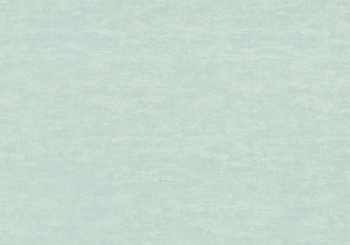 Шпалери Vinil Wallpaper Factory ЕШТ САД 2-1442 1,06х10,05м