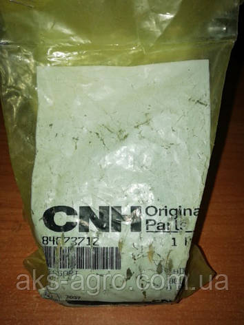 Пружина варіатора CASE ОРІГІНАЛ 84073712, фото 1