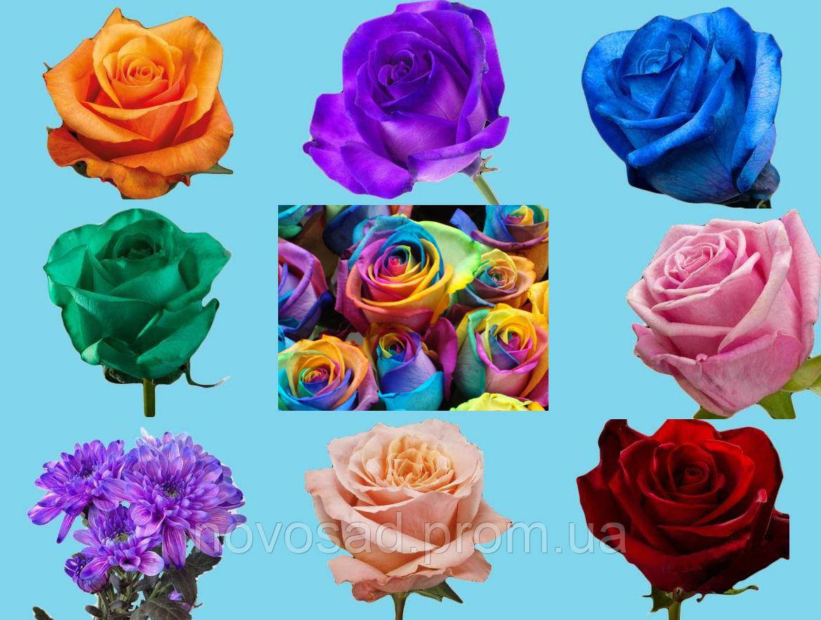 Флористическая краска для срезанных цветов 50г (Польша) - фото 4 - id-p1311172215