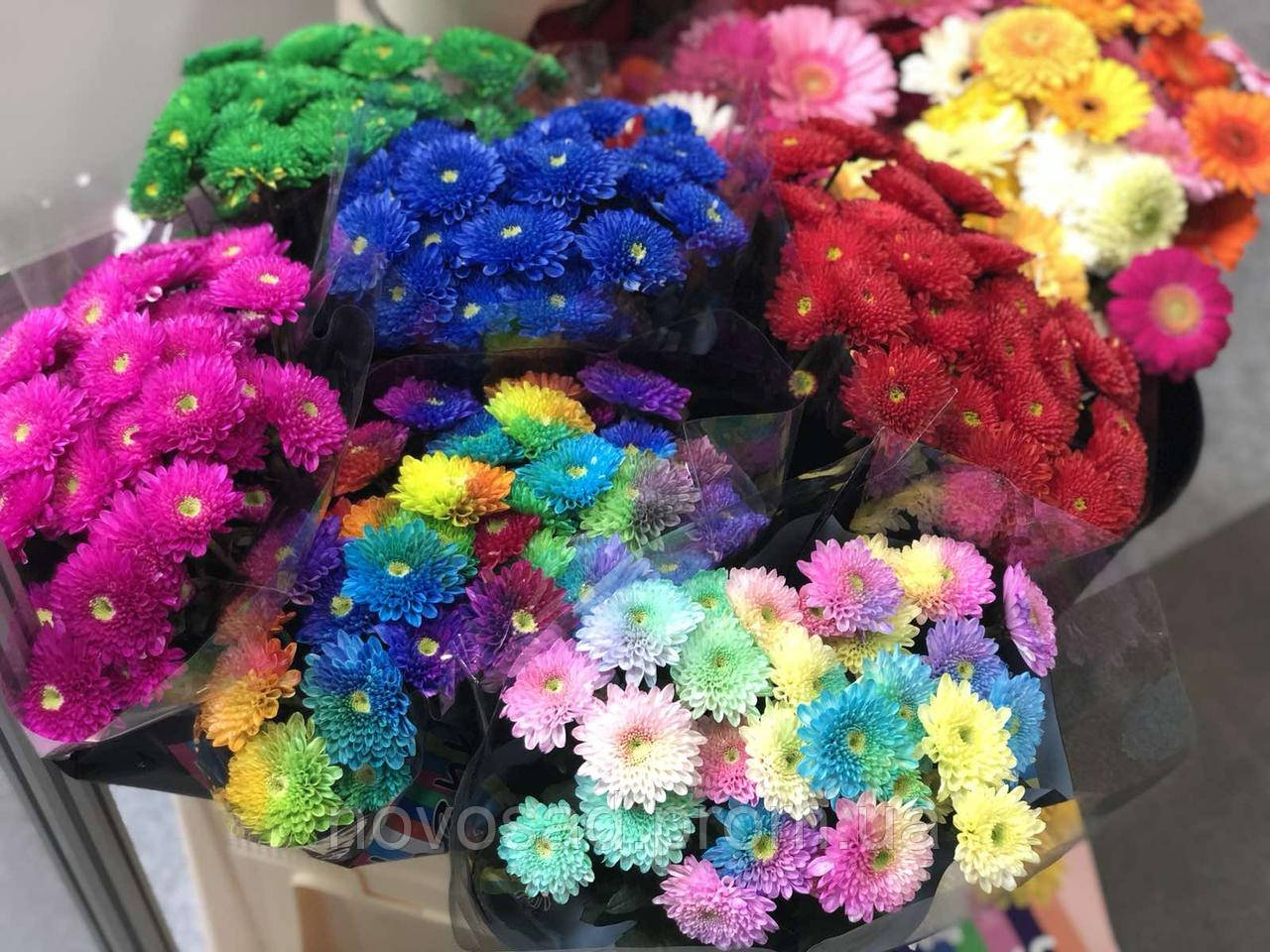Флористическая краска для срезанных цветов 50г (Польша) - фото 1 - id-p1311172215