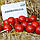 Солероссо F1 насіння помідора детермінантного (Nunhems) 20 шт, фото 2