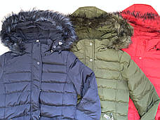 Куртки зимові на дівчаток оптом, Nature, 10-16 рр., 5264+, фото 2