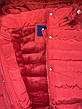 Куртки зимові на дівчаток оптом, Nature, 10-16 рр., 5264+, фото 3