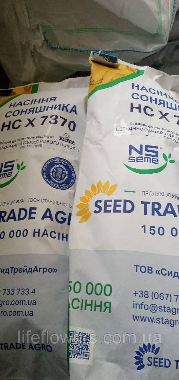 Насіння соняшника НС - Х - 7370 стійкий до гербіциду експрес ( або гранстар)