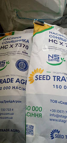 Насіння соняшника НС - Х - 7370 стійкий до гербіциду експрес ( або гранстар), фото 1