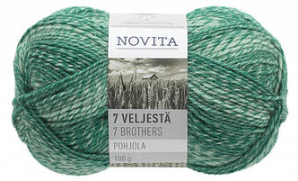 Носкова пряжа Novita 7Veljestä Pohjola