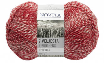 Носкова пряжа Novita 7Veljestä Pohjola