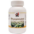 Бхуміамалакі (Bhumyamalaki Capsules, SDM), 100 капсул Філлантус Нірурі 500 мг, для печінки, фото 6