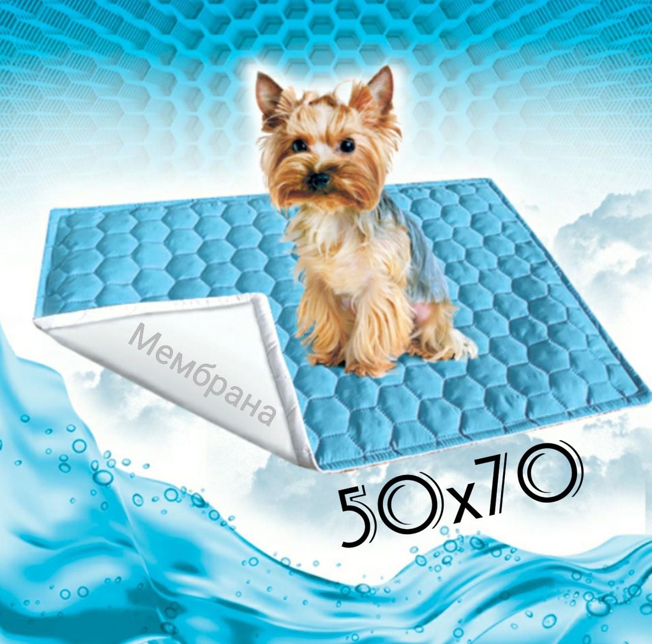 Багаторазова пелюшка для собак 50х70 см непромокаємий