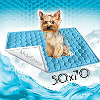 Многоразовая пеленка для собак 50х70 см непромокаемая Цвет БИРЮЗОВЫЙ