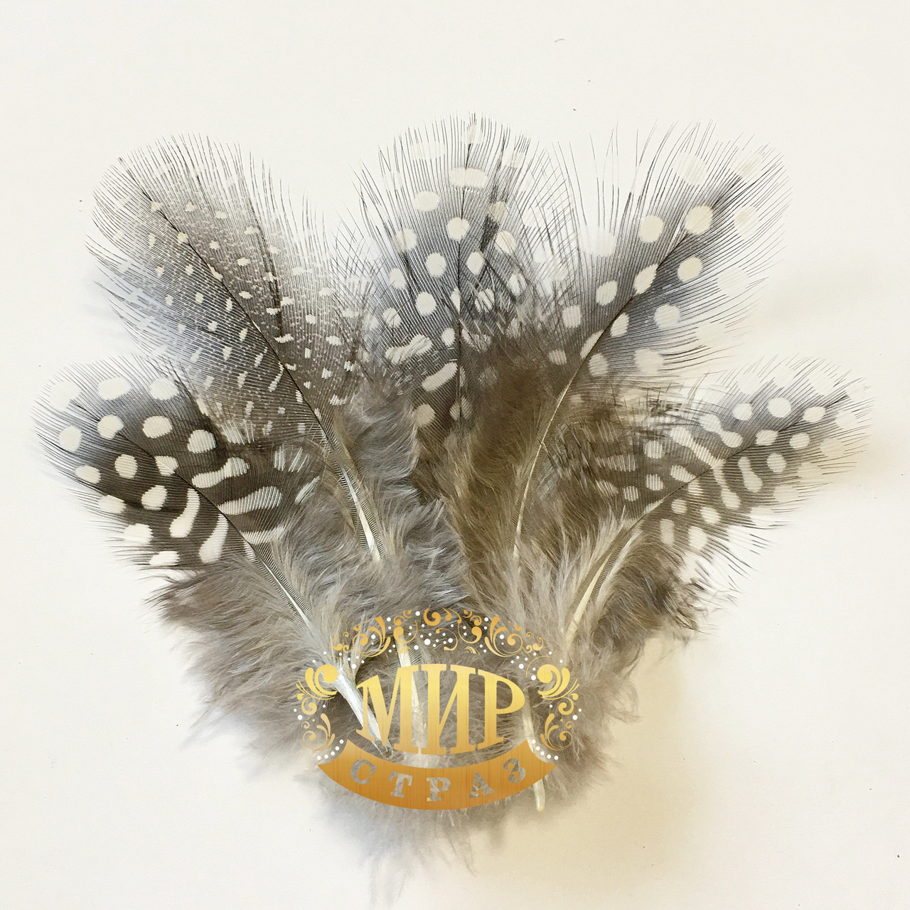 Натуральне перо фазана Natural 5-10 см 1шт