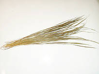 Зубрування запашне, трава ціла