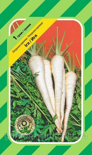 Насіння петрушка коренева Ігл Bejo Zaden Нідерланди