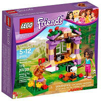 Конструктор LEGO Friends Домик Андреа в горах (41031)