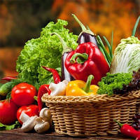 Насіння овочів на вагу оптом