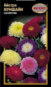 Насіння айстра Мун Шайн
