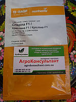 Насіння огірка Кріспіна F1 (Nunhems), 1 000 насінин - партенокарпік, ранній гібрид (38-40 днів), корнішон