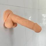 Фаллоімітатор реаліст на присмоктуванні, розмір: 17.2*3.5 см., фото 2