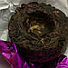 Шу Пуэр с розой миниточа 10 штук по 5 грамм, фото 2