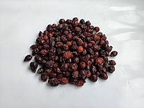 Шипшина, плоди