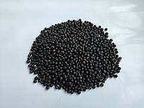 Можжевельник ягоды-ялівець